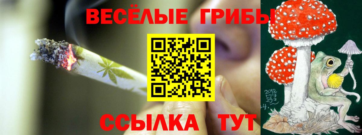 Псилоцибиновые грибы прущие грибы  Псилоцибиновые грибы Psilocybine cubensis  Вход с VPN  Отрадный 