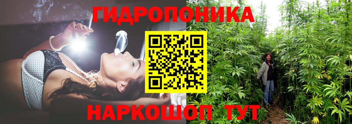 Каннабис марихуана Отрадный